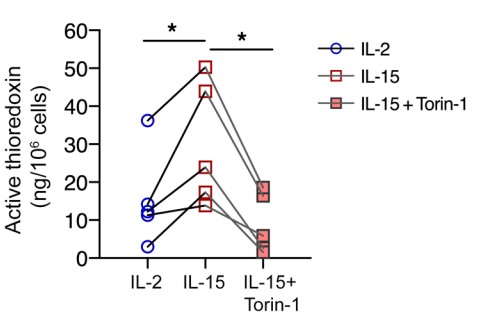 Concentration of active thioredoxin protein in NK cells.jpg
